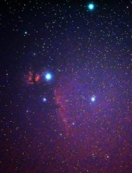 The Flame and horsehead nebulas