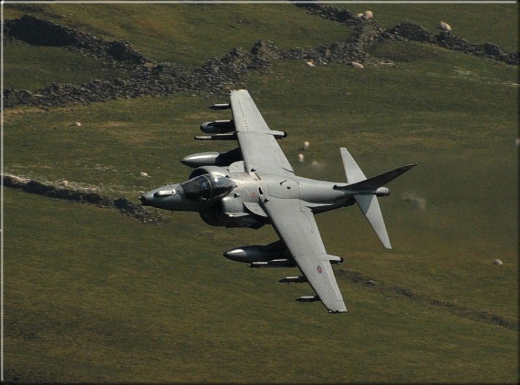 The first Harrier