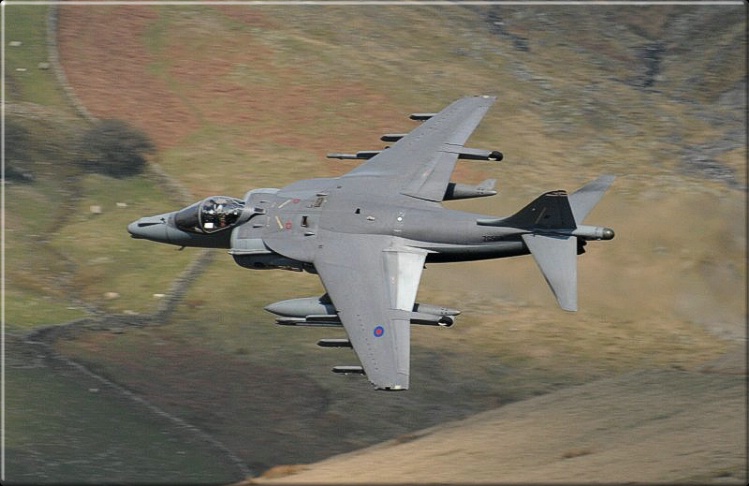 the 3rd Harrier